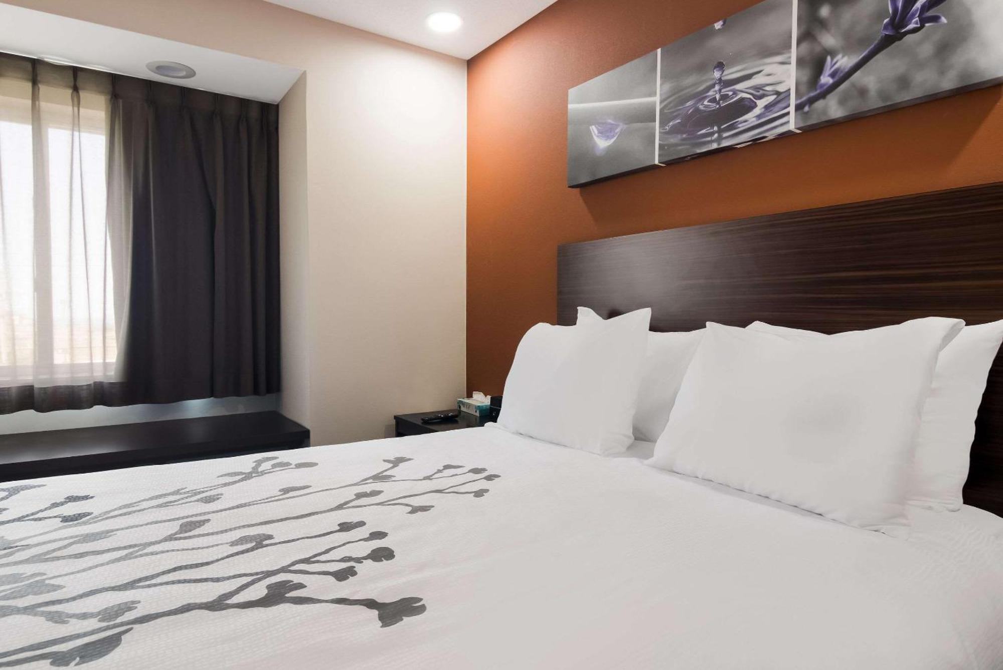 Sleep Inn Kearsarge Luaran gambar